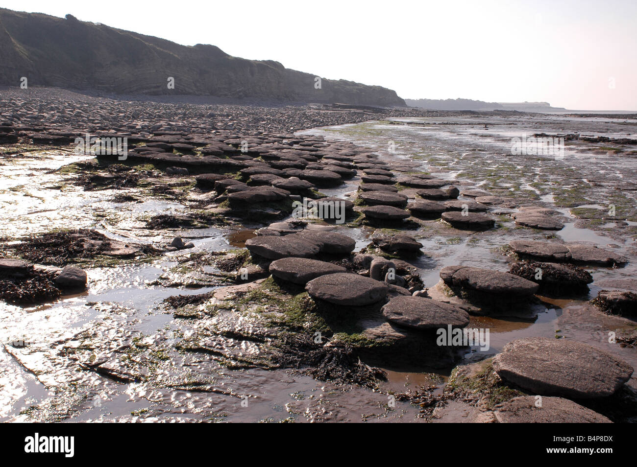 Un geologico costiere SSSI vicino Lilstock nel nord Somerset con esposizioni foreshore del Lias blu Foto Stock