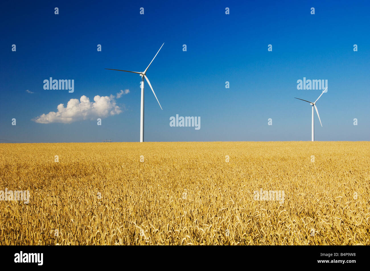 Mulini a vento sulle praterie con campi di grano vicino a St Leon Manitoba Canada Foto Stock