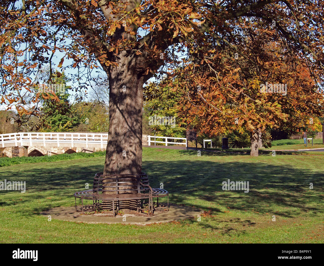 Sede metallica Ferro battuto foglie elegante ruggine Foto Stock