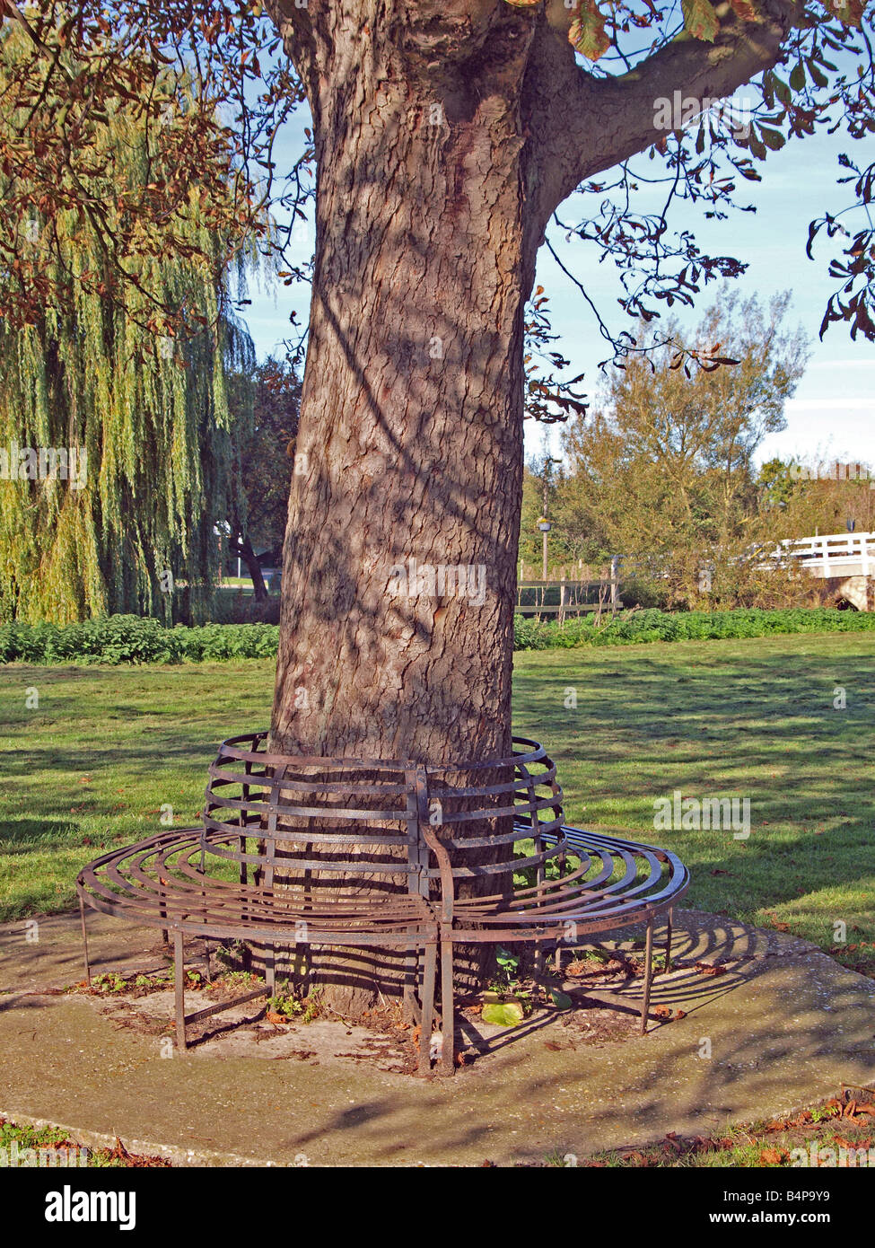 Sede metallica Ferro battuto foglie elegante ruggine Foto Stock