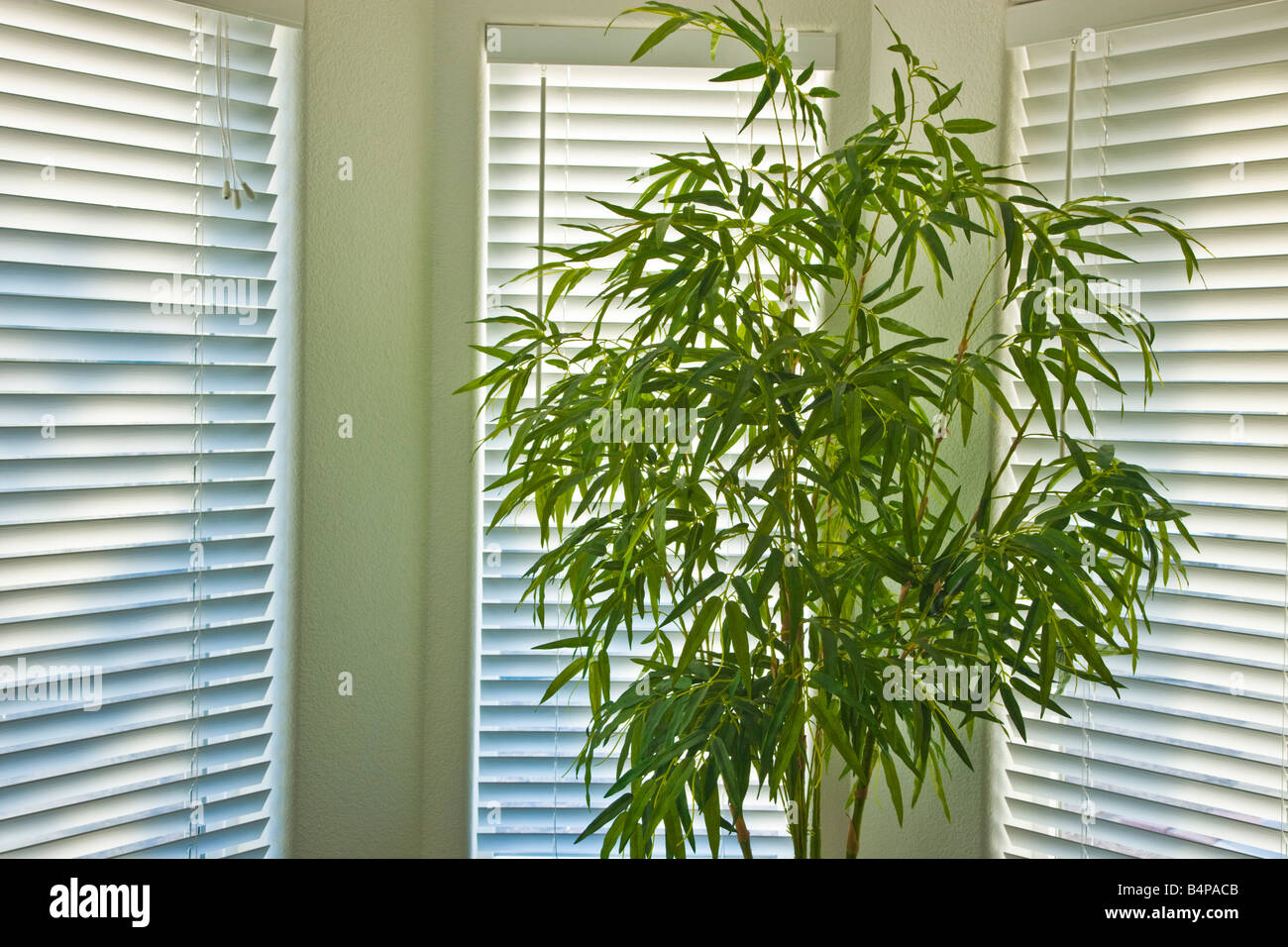 Il controllo esterno e gli elementi interni. Foto Stock