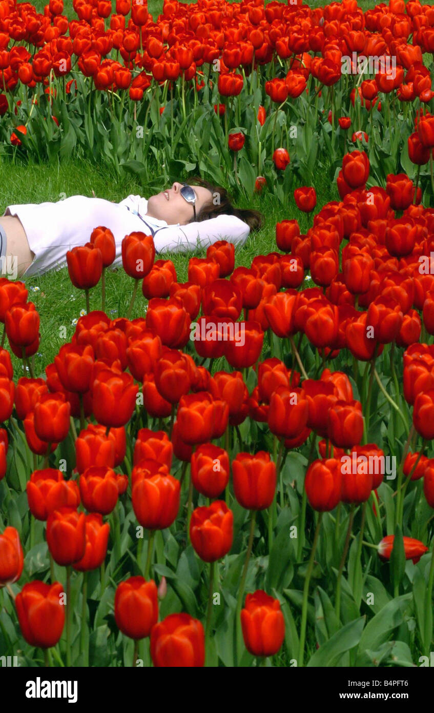 Progettista di giardini Andra Wilks da Pencoed collegio prende tempo fuori dall'impostazione mostrano il loro giardino alla RHS visualizza nel campo Coopers di Cardiff che inizia il sabato Aprile 2003 Foto Stock