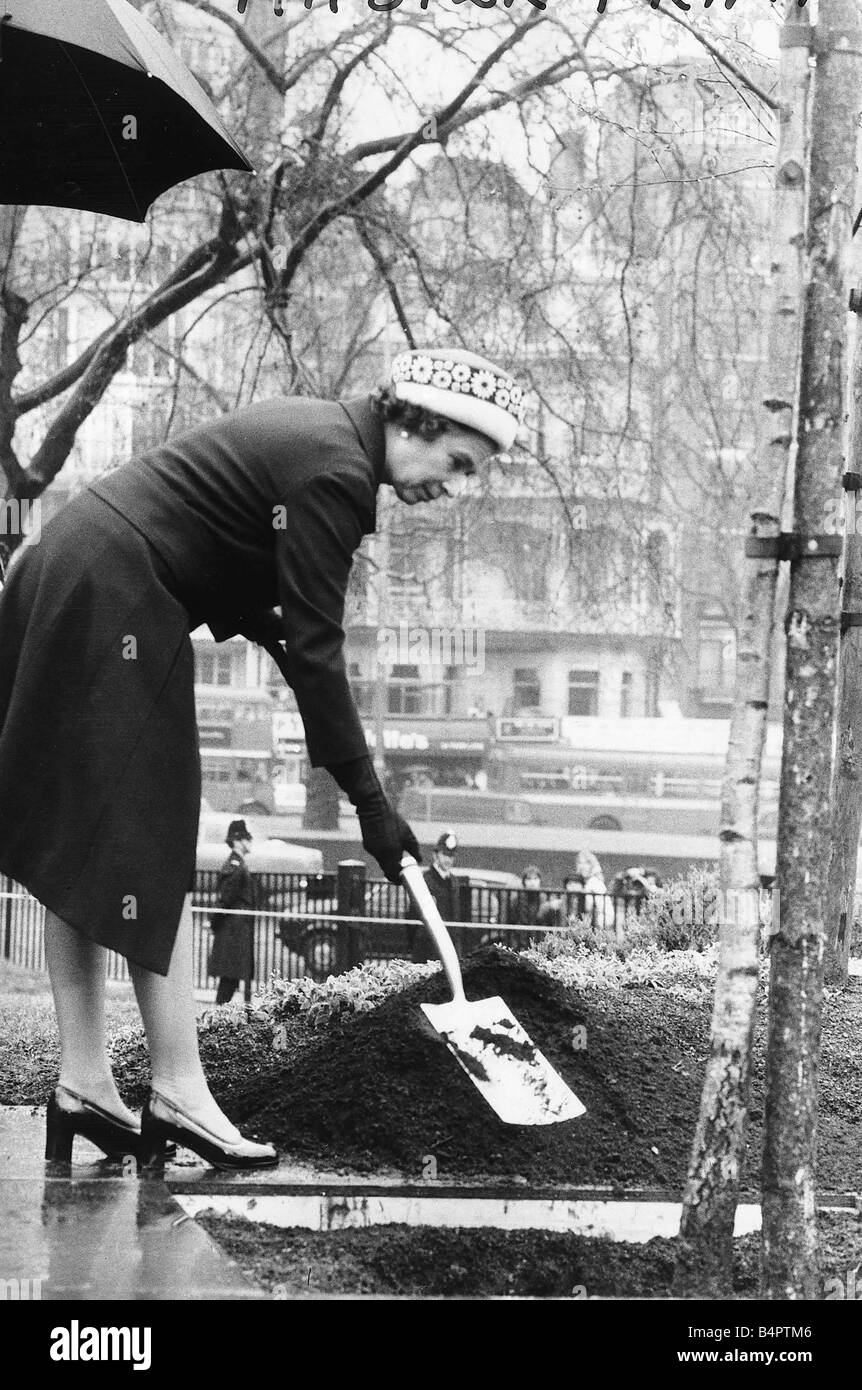 Queen Elizabeth piantagione teletta Betulla a Londra s Hyde Park per commemorare il suo Giubileo d'argento Foto Stock