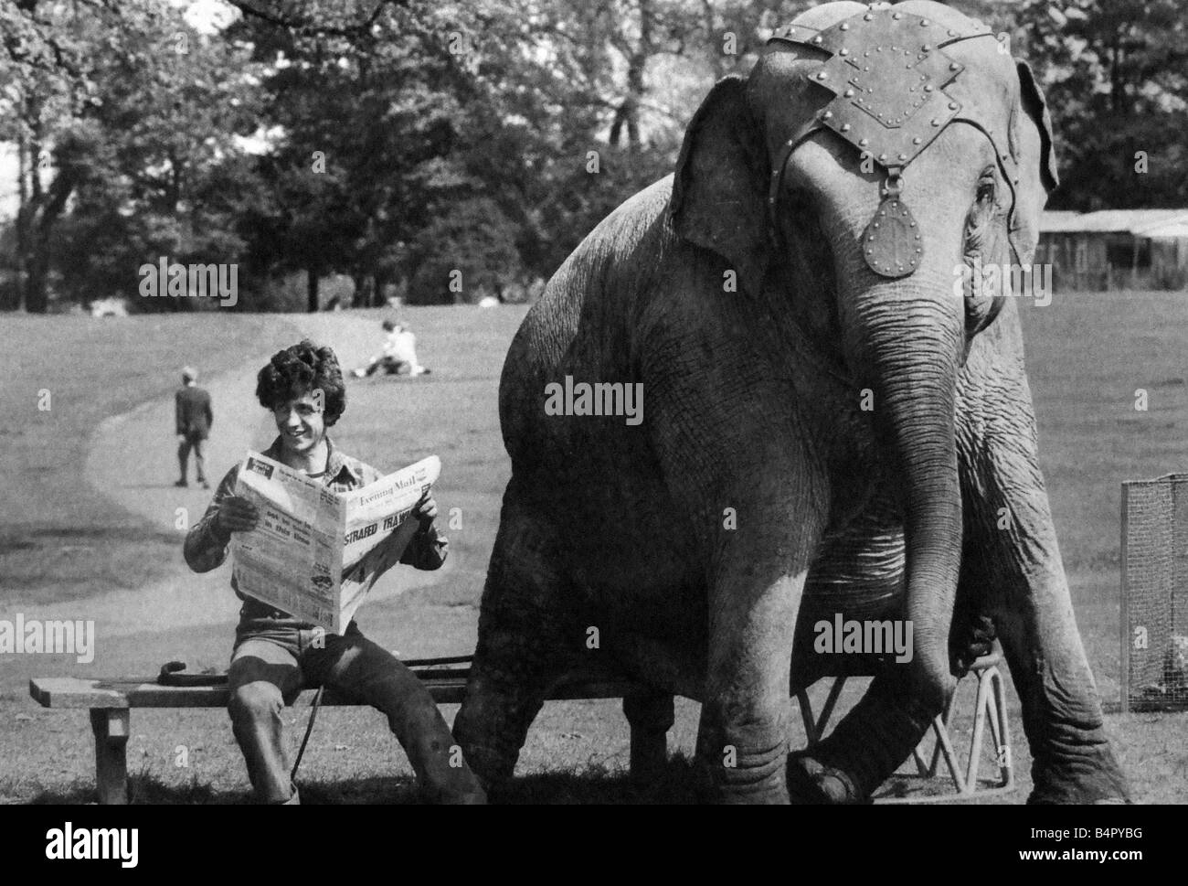 Dum Dum L'elefante ha deciso di prendere un meritato riposo dal circus Hurly Burly Egli è una delle attrazioni a stella a Sir Robert Fossett s Circus in Pype Hayes Park Birmingham Maggio 1982 Foto Stock