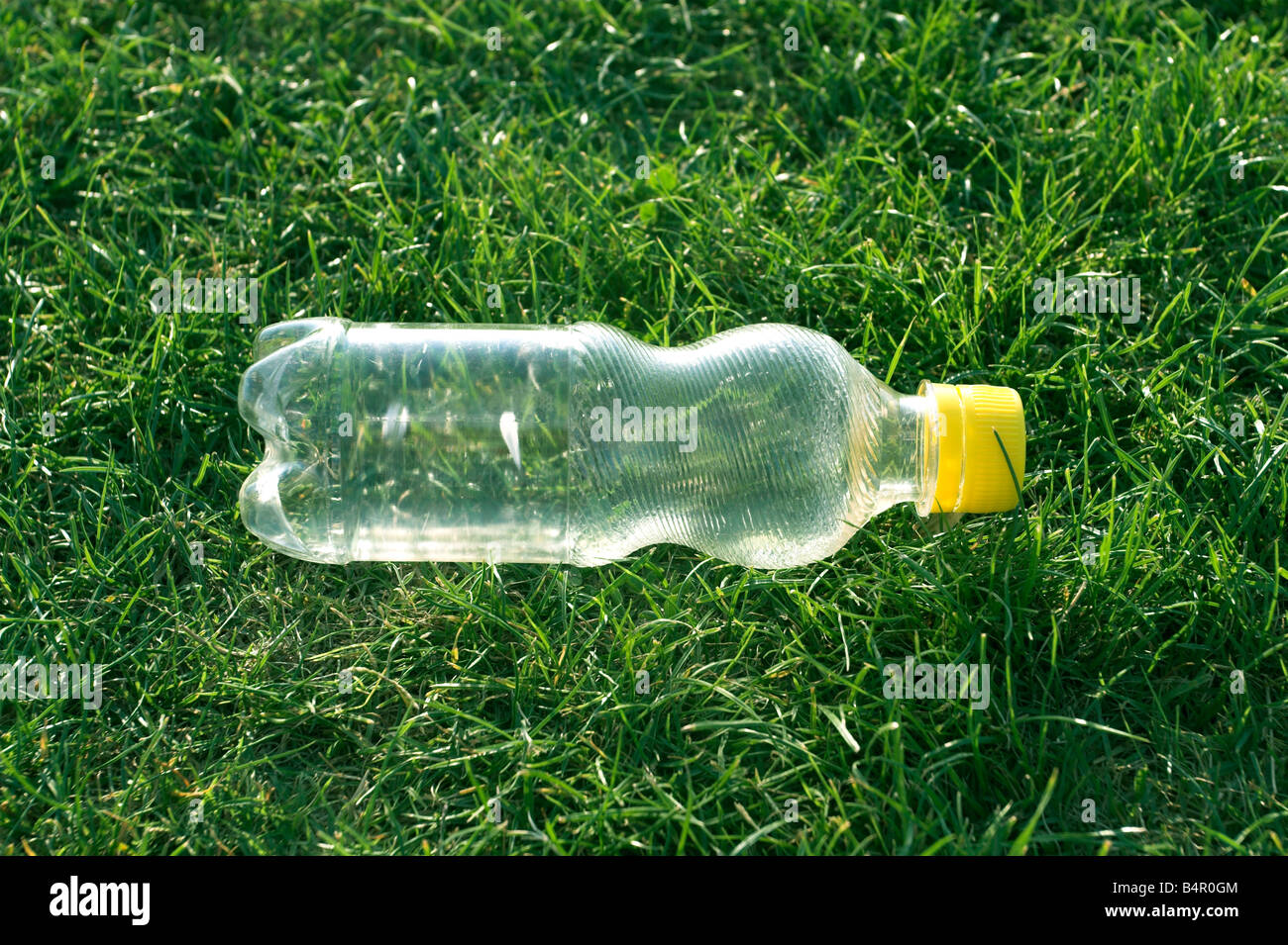 La bottiglia di plastica lasciato sull'erba Foto Stock