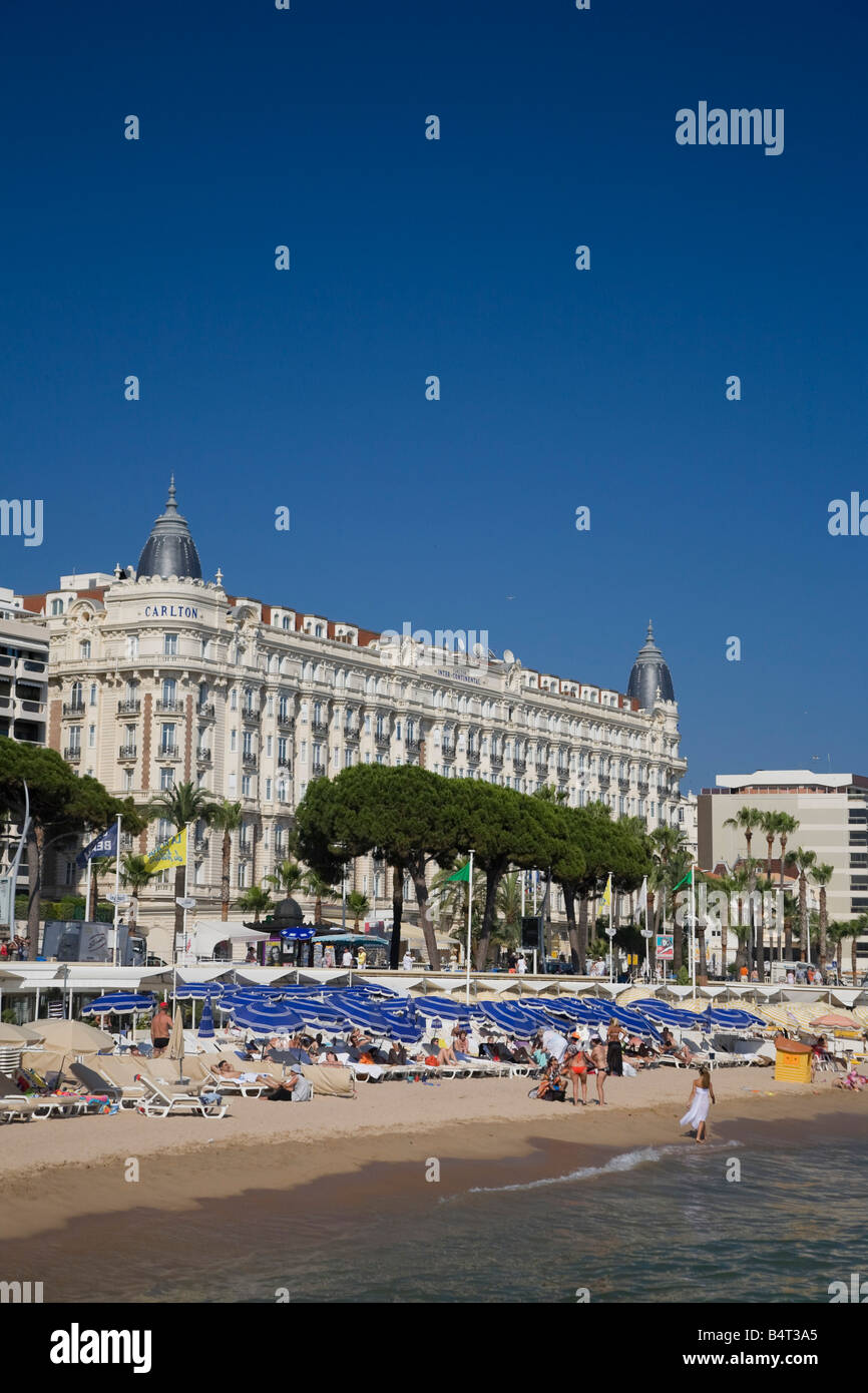 La spiaggia e il Boulevard de la Croisette con Carlton Hotel, Cannes, Cote D'Azur, in Francia Foto Stock
