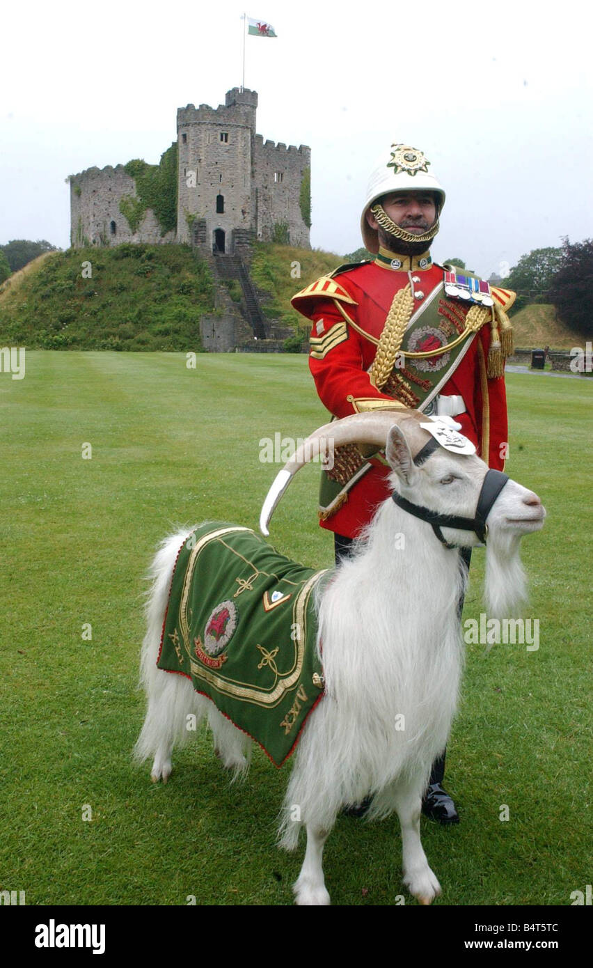 Shenkin la capra del reggimento ha pagato una visita al Castello di Cardiff foto mostra Shenkin con capra principali Sargeant David Joseph BEM Luglio Foto Stock