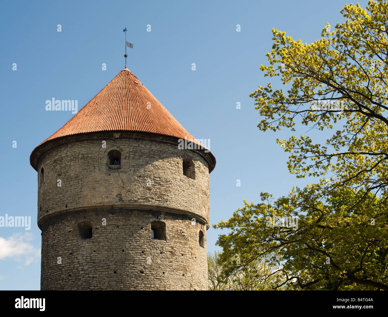 "Kiek-in-de-Kök' bastione, la collina di Toompea, Tallinn, Estonia Foto Stock