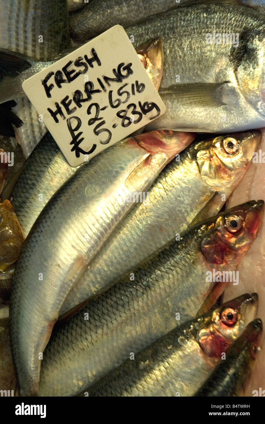 Aringhe fresche Rock a Nora Pesca La Stade Hastings Old Town East Sussex Foto Stock