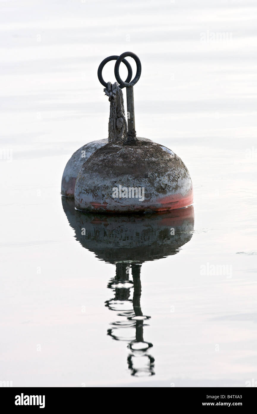 Una coppia di boe. Foto Stock