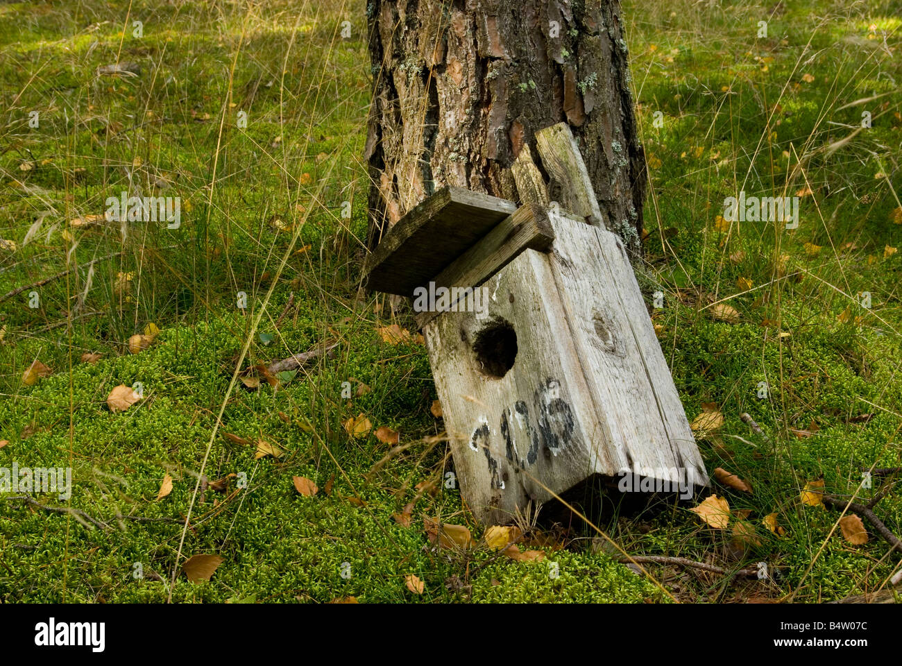 Rotto birdhouse Foto Stock