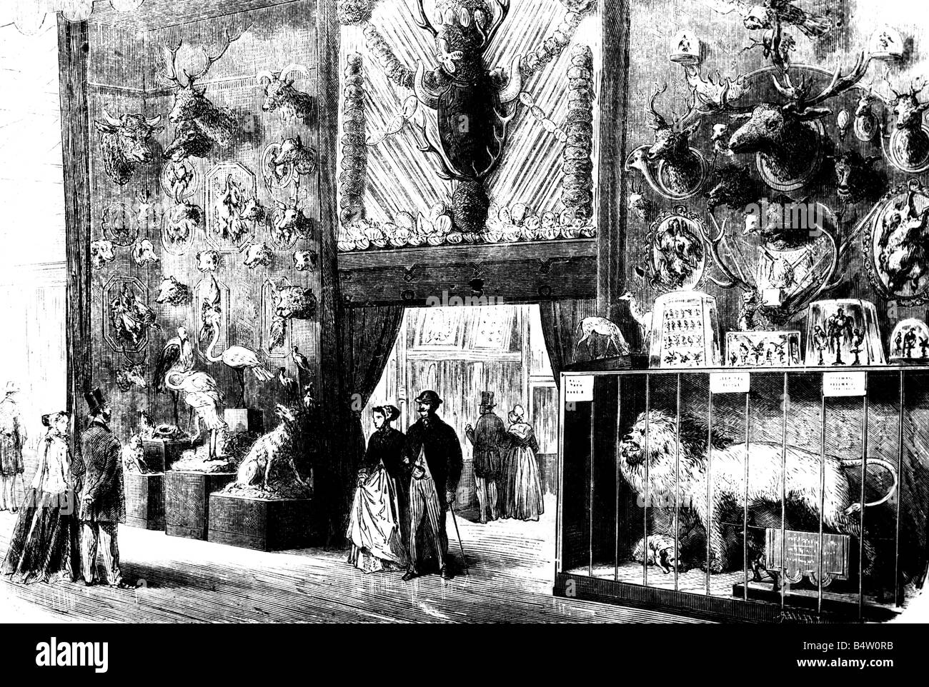 Mostre, esposizione mondiale, Parigi, 1.4.1867 - 31.12.1867, Dipartimento zoologico, incisione del legno, 1867, esposizione Universelle, Expo, esposizione internazionale, animali imbottiti, persone, visitatori, Francia, 2nd Impero, 19th secolo, storico, storico, Foto Stock