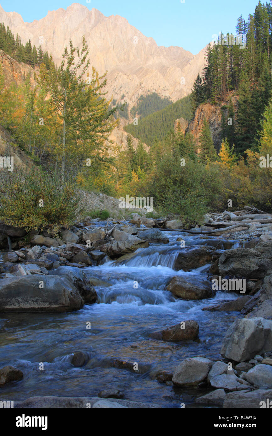 Ruscelli di montagna in autunno, Kananaskis Country, Alberta Foto Stock