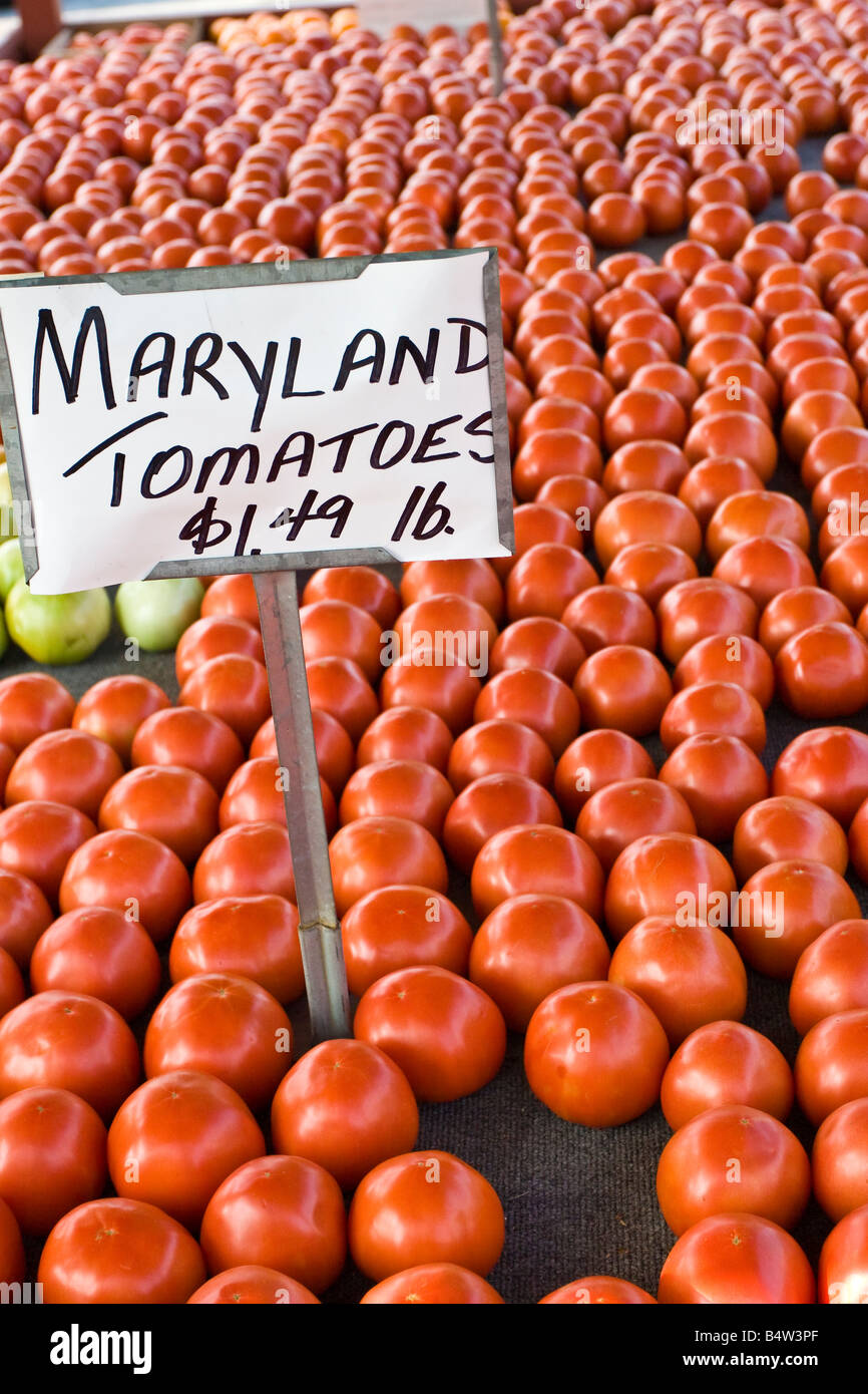 Pomodori sul display in un mercato all'aperto Foto Stock