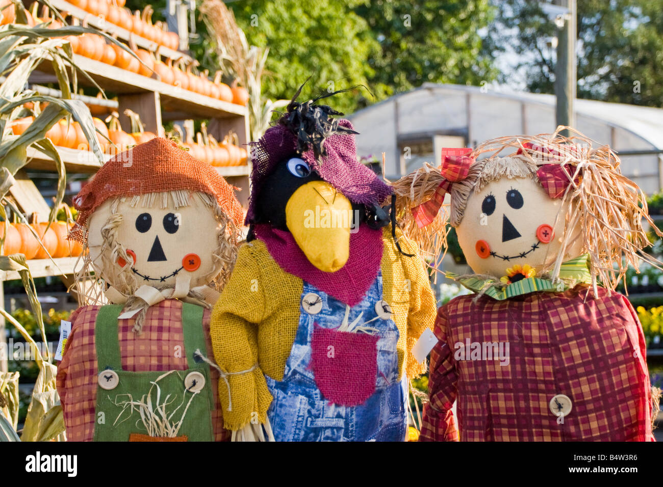 Halloween scarecrows sul display in un mercato all'aperto Foto Stock