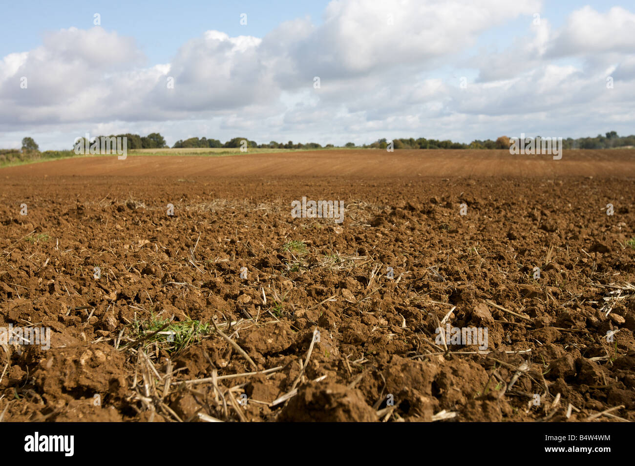 Di recente il campo arato, Inghilterra. Foto Stock