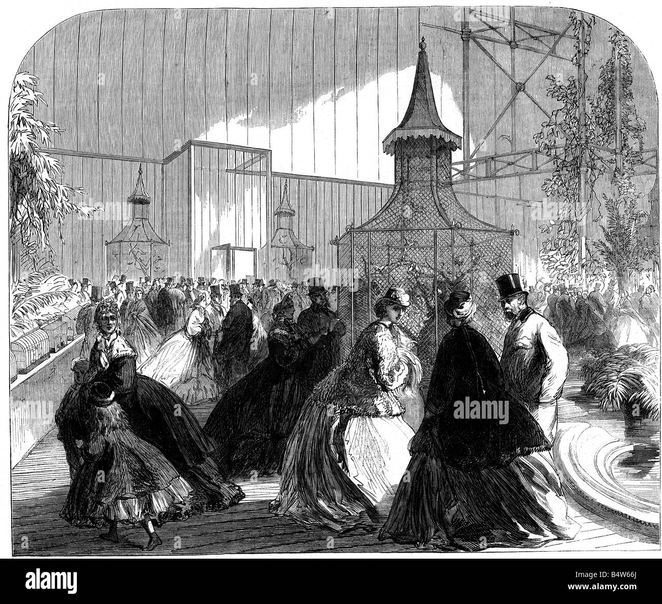 Mostre, zoologia, bird show, Londra, 1865, Crystal Palace, vista interna, incisione in legno, 'London Illustrated News', 1865, , Foto Stock