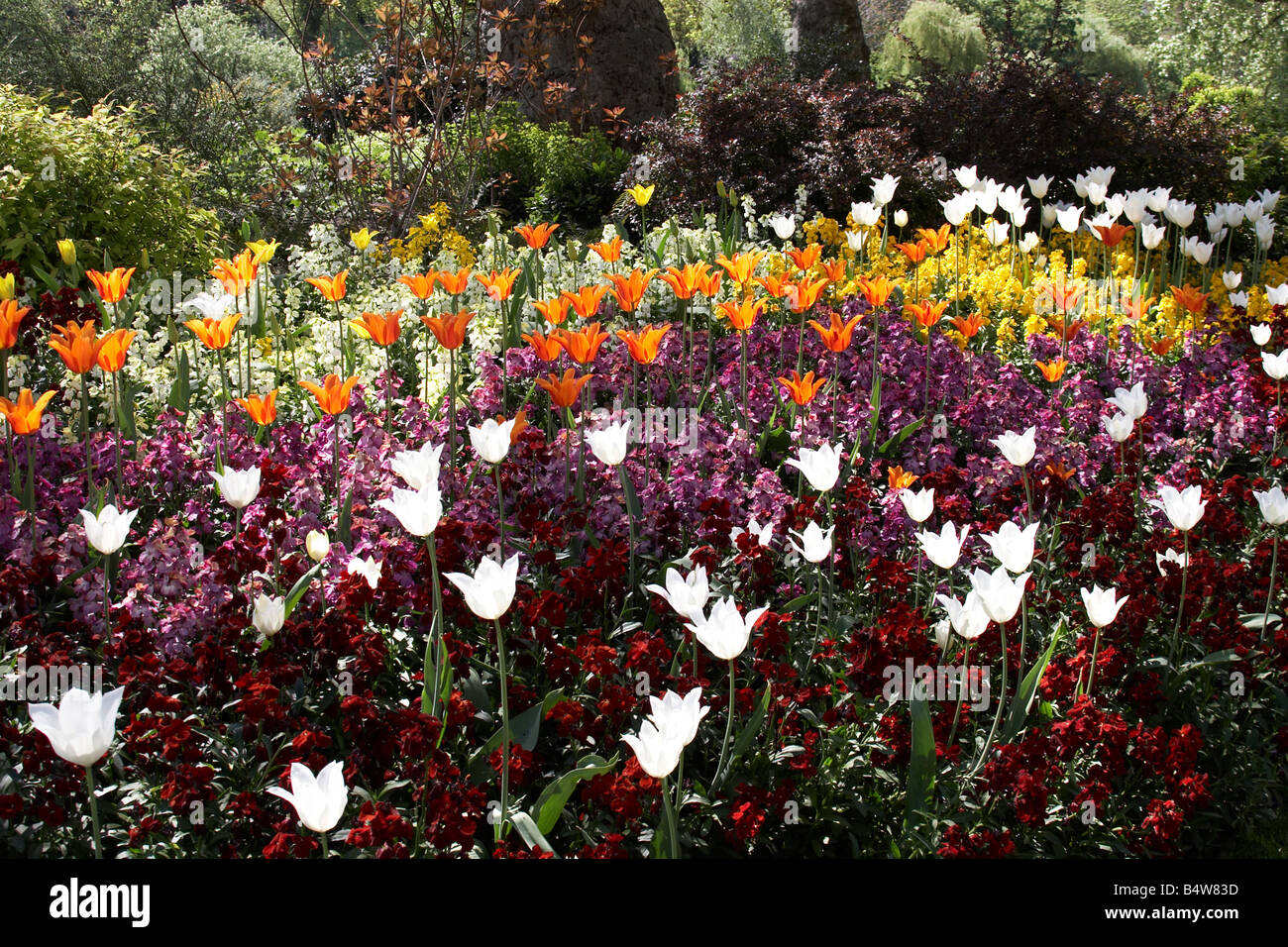 Tulip e altri letti di fiori in St James s Park City of Westminster SW1 London Inghilterra England Foto Stock