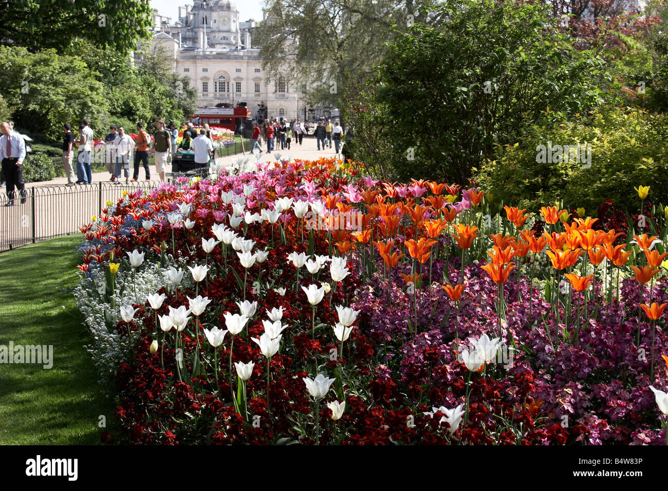 Ulip e altri letti di fiori in St James s Park cercando su Horse Guard s Road immobili City of Westminster SW1 London Inghilterra England Foto Stock