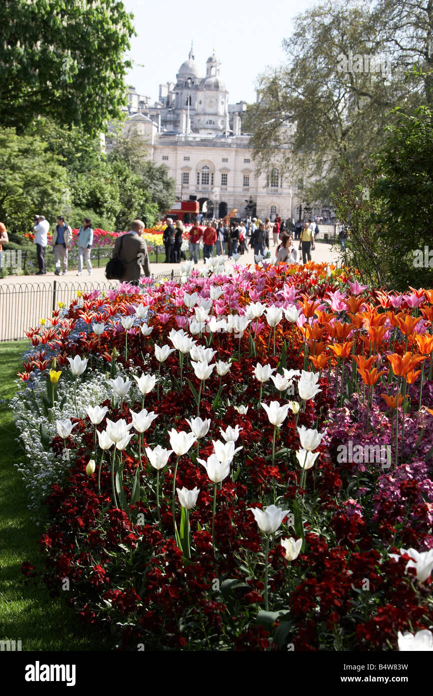 Tulip e altri letti di fiori in St James s Park cercando su Horse Guard s Parade immobili City of Westminster SW1 London Englan Foto Stock