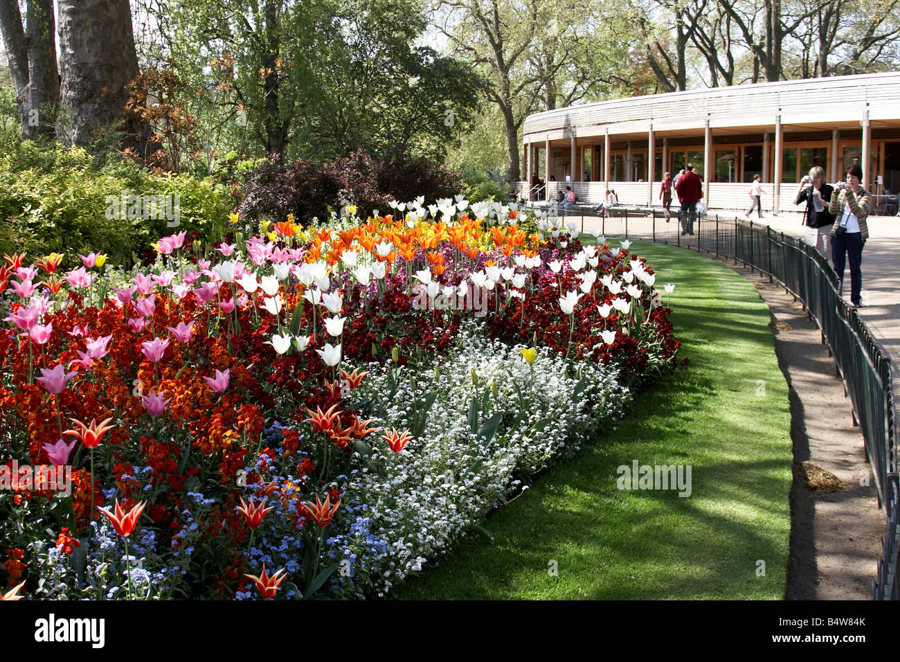 Tulip e altri letti di fiori con le persone scattano fotografie in St James s Park City of Westminster SW1 London Inghilterra England Foto Stock