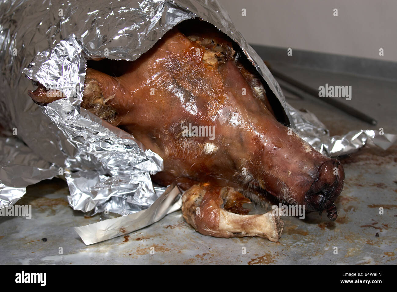 Arrosto di maiale di porco testa coperta in lamina di alluminio Foto Stock