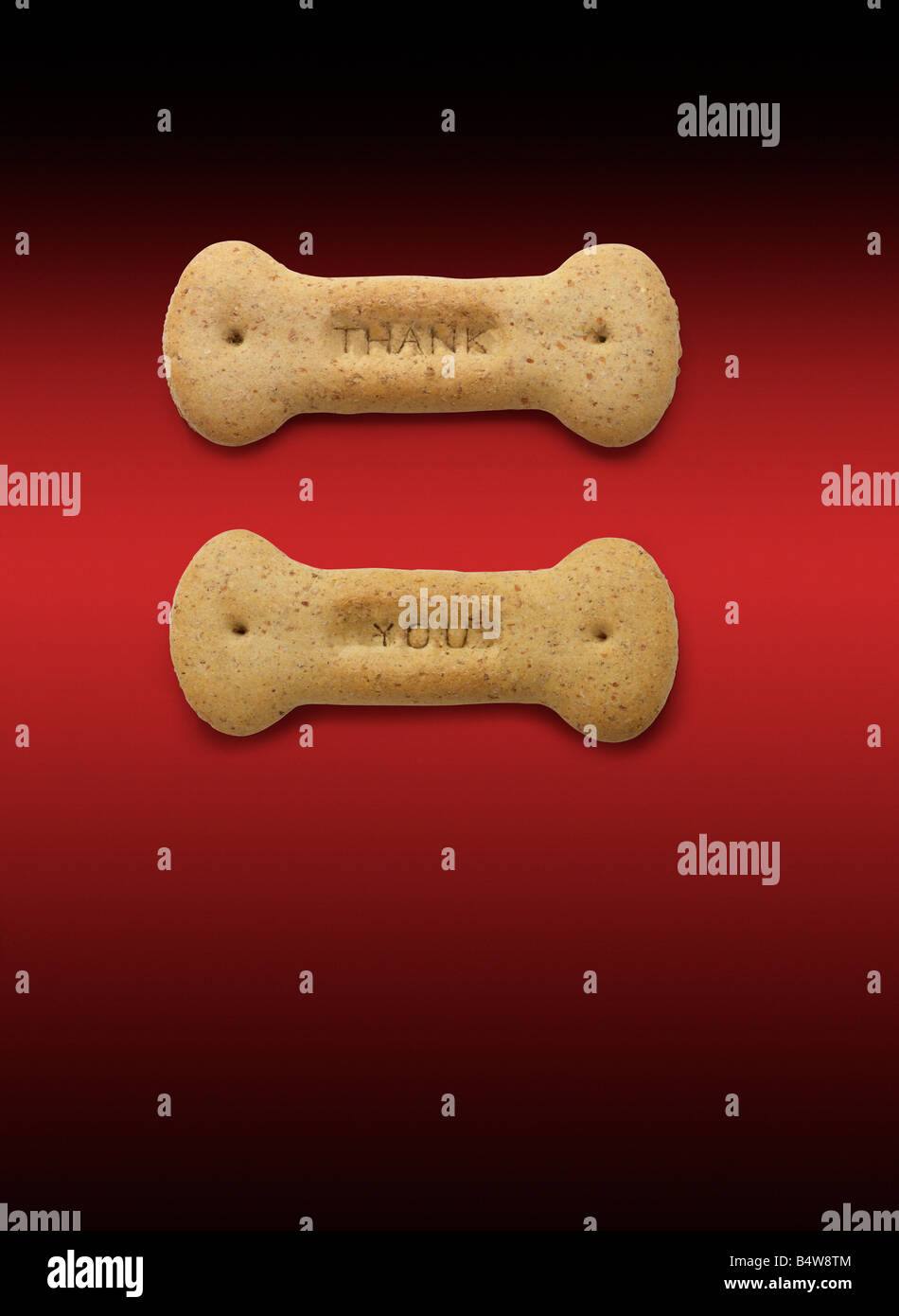 Prodotti da masticare per cani dicendo grazie Foto Stock