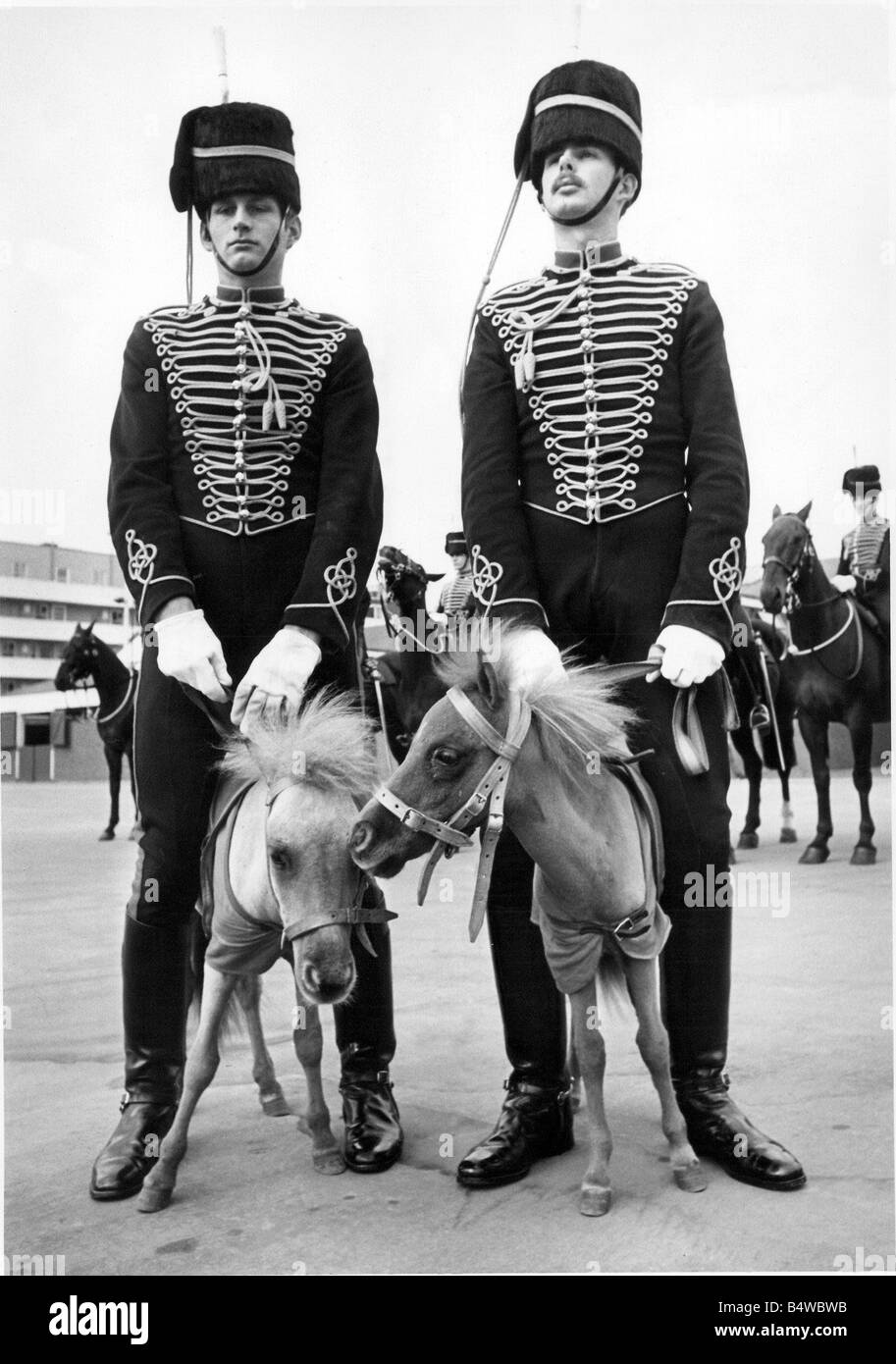 Due dei mondi più piccolo horse sono arrivati in Gran Bretagna da Argentina Foto Stock