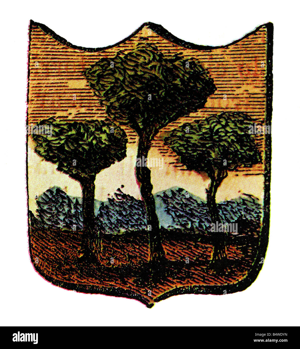 Eraldica, stemma, Italia, stemma della comunità, Gaiole in Chianti, 13th secolo, cresta, alberi, albero, pino, Toscana, Medioevo, storico, storico, medievale, Foto Stock