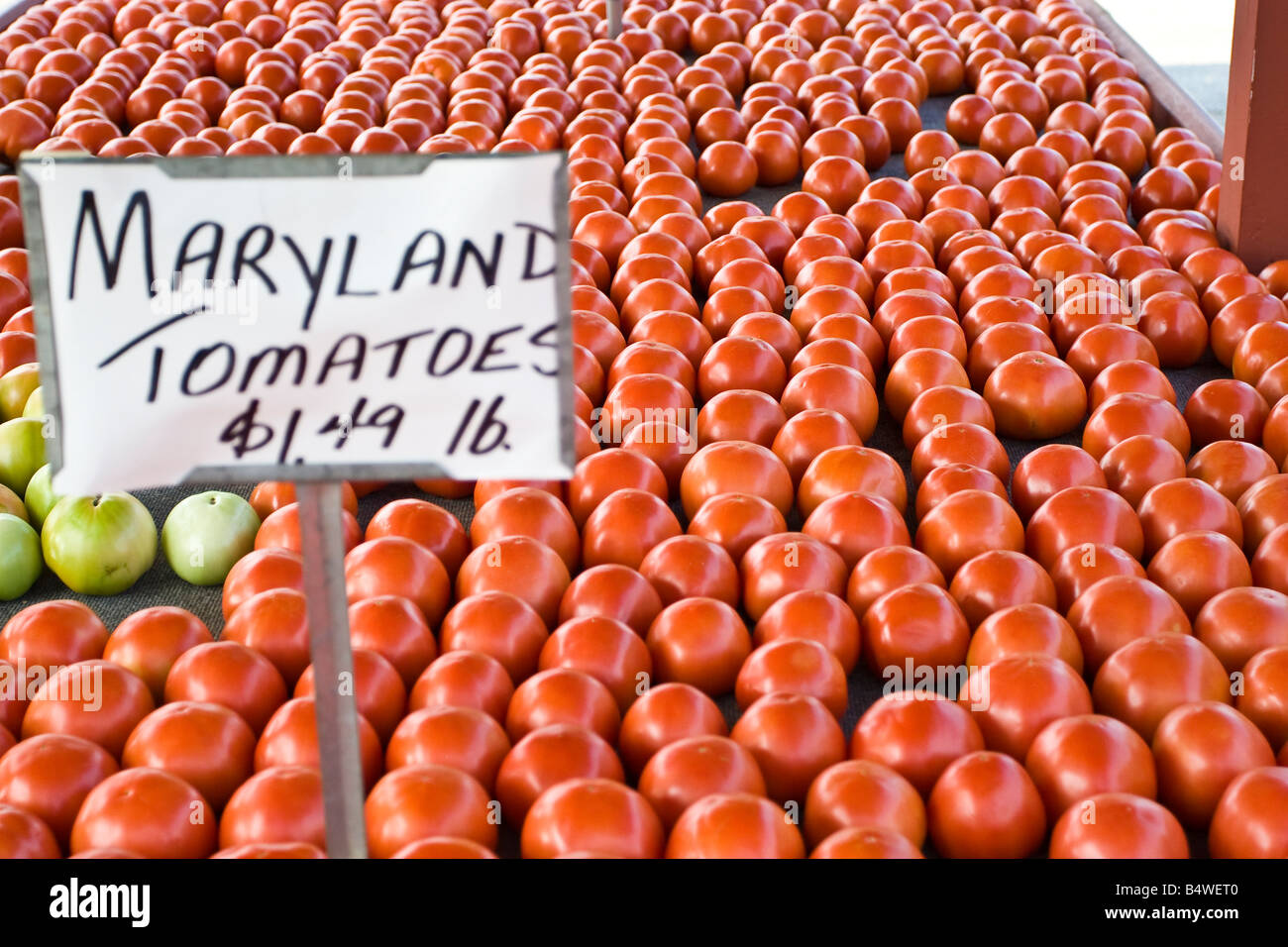 Pomodori sul display in un mercato all'aperto Foto Stock