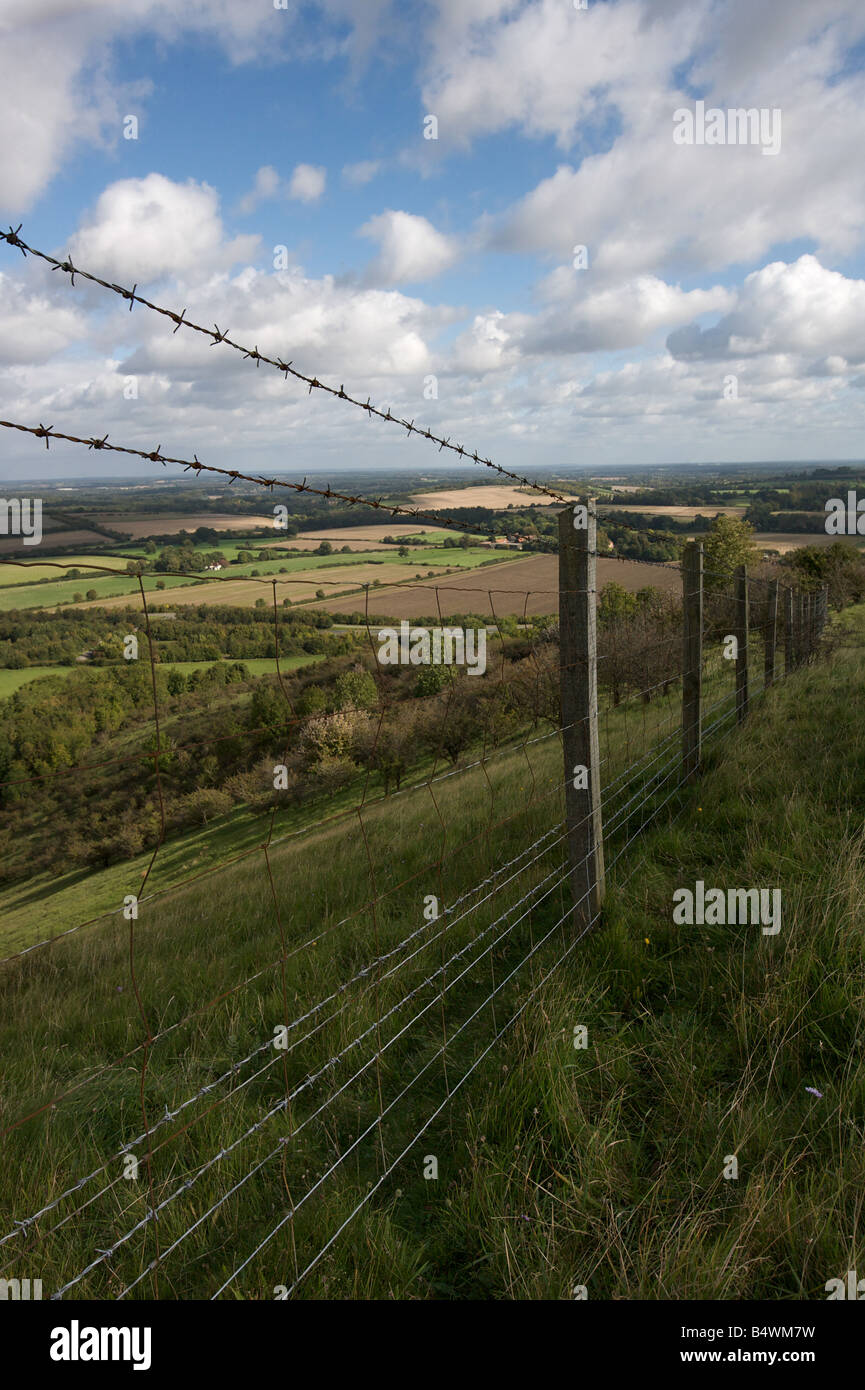 Campagna inglese. Foto Stock