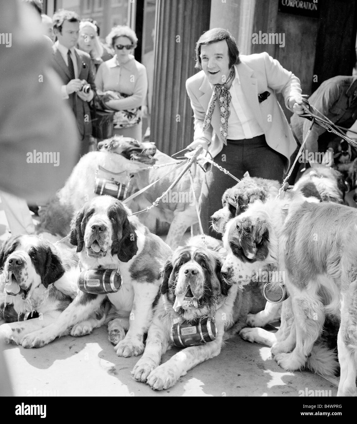 Radio DJ Alan Freeman con una miriade di St Bernarddogs completo con brandy in fusti in New Bond street, come egli comunica Thunderclap Newman record più recenti "incidenti" ;Maggio 1970;DM70-4689-1 Foto Stock