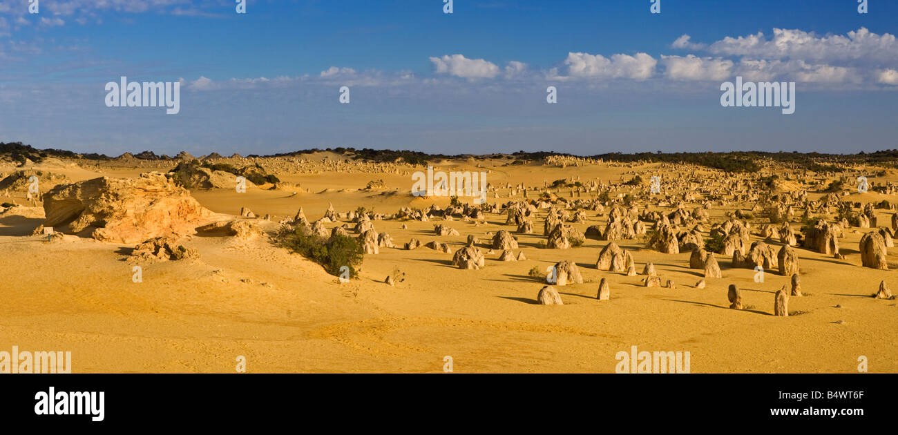 Deserto Pinnacles nel Nambung National Park, 245km a nord di Perth in Australia Occidentale Foto Stock