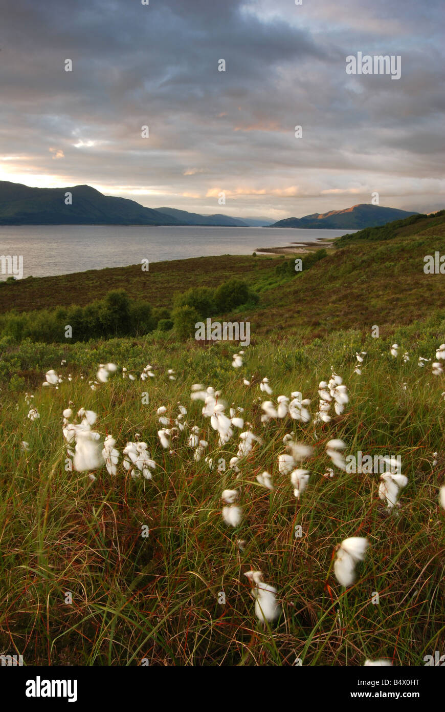 Corran narrows visto dal punto di Cuil, Argyll, Scotland, Regno Unito. Foto Stock