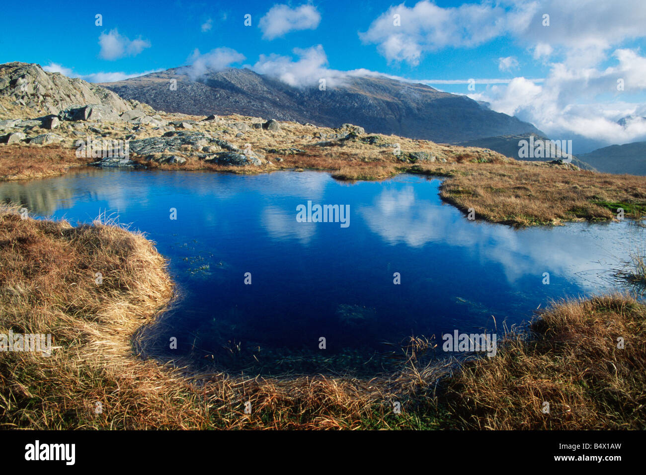 Il Glyders da Clogwyn Bwlch y Maen Snowdonia Galles del Nord Foto Stock