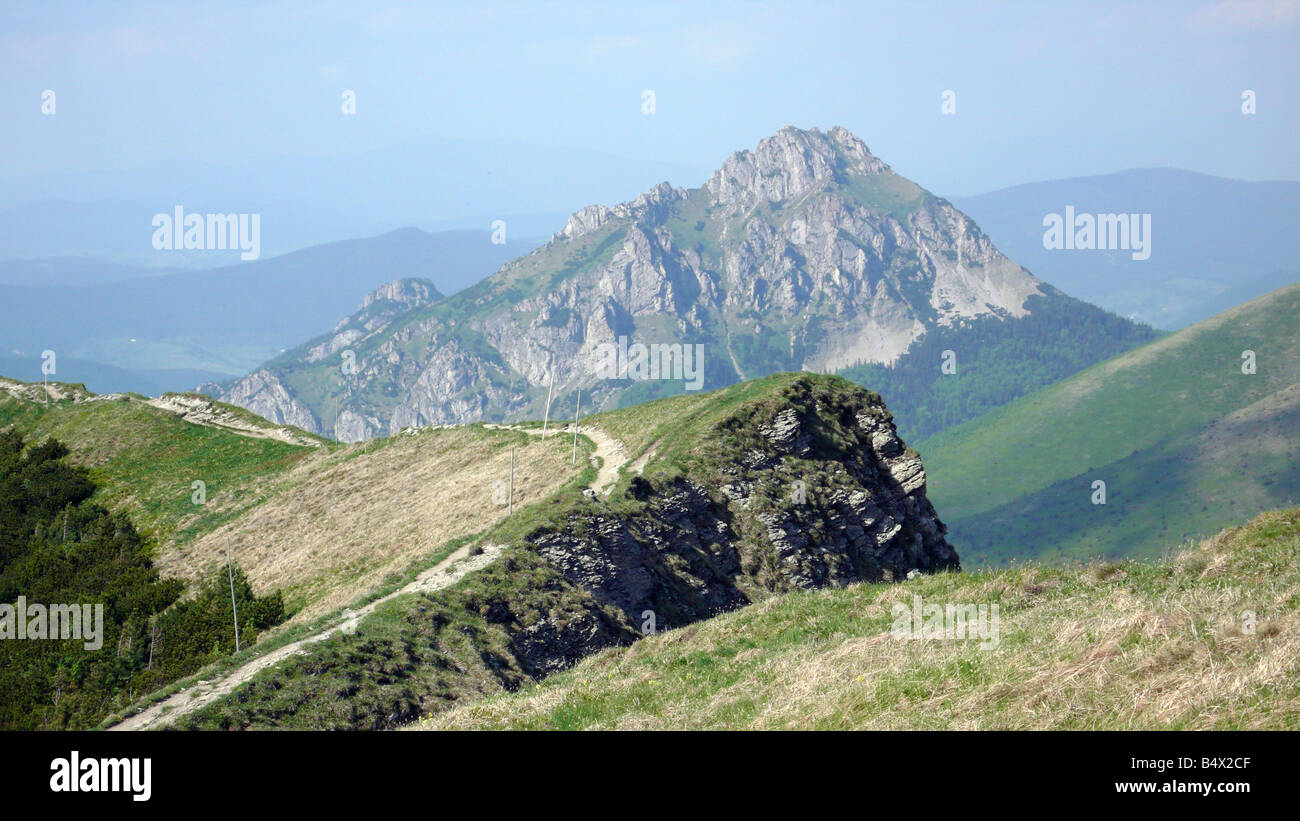 Vel'ky Rozsutec montagna da Chleb con Hromove in primo piano in Slovacchia maschio del Fatra montagne. Foto Stock