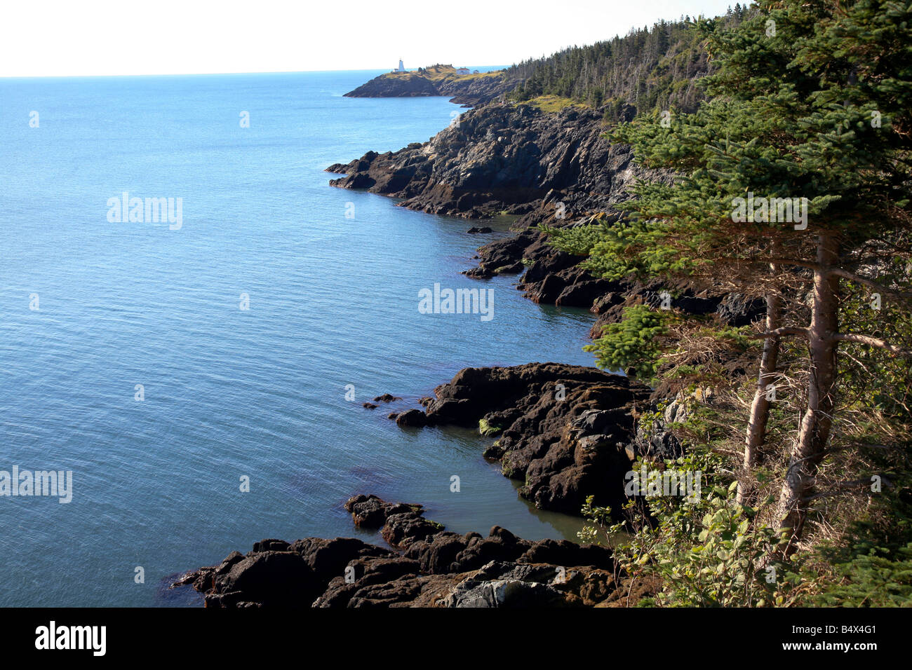 Costa di Grand Manan isola nella baia di Fundy è una piccola isola della costa di New Brunswick in Canada s Costa Atlantica Foto Stock