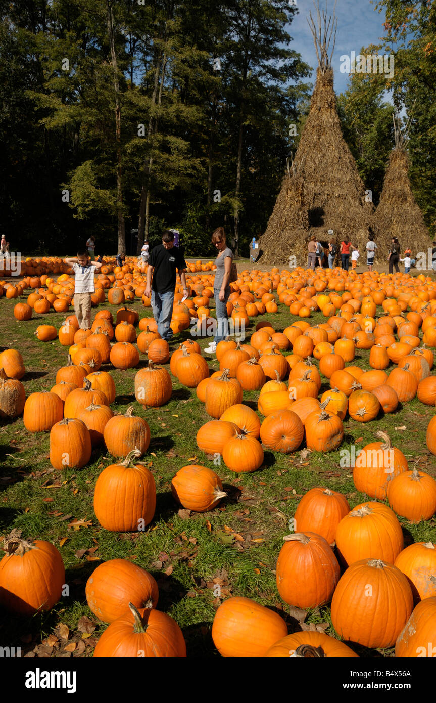 Zucca di Halloween di patch e tepees. Foto Stock