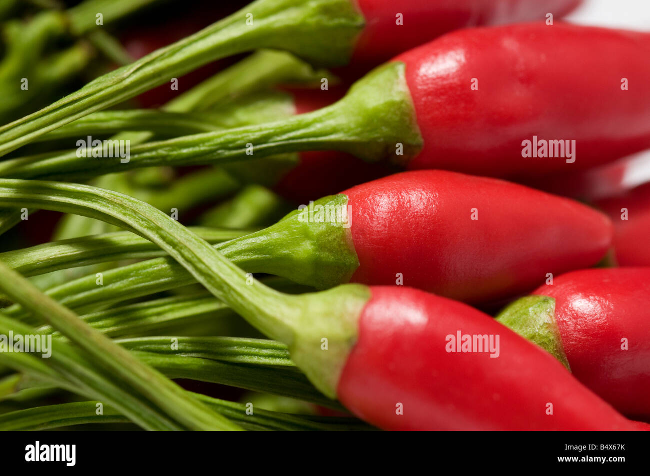 Red Hot Chili Peppers Foto Stock