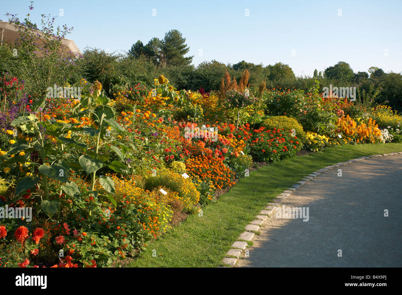 Parc Floral de Paris Bois de Vincennes Francia Foto Stock