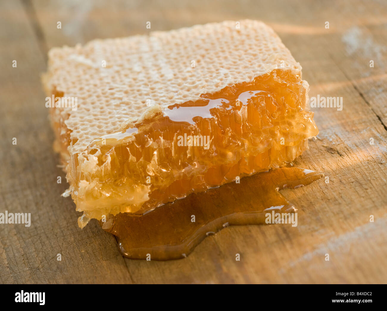Chiusura del favo di miele di gocciolamento Foto Stock