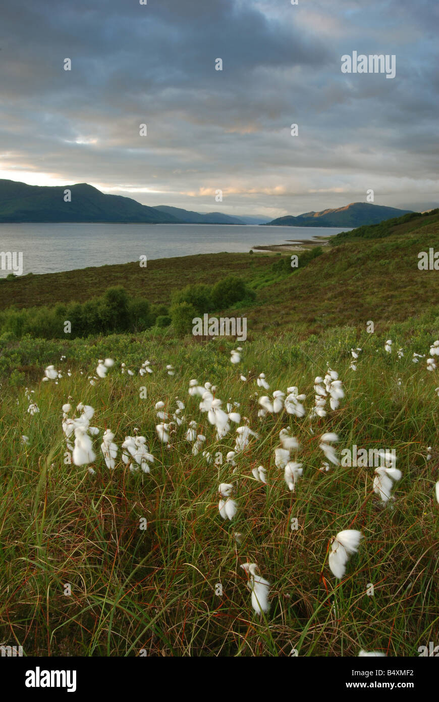 Corran narrows visto dal punto di Cuil, Argyll, Scotland, Regno Unito. Foto Stock