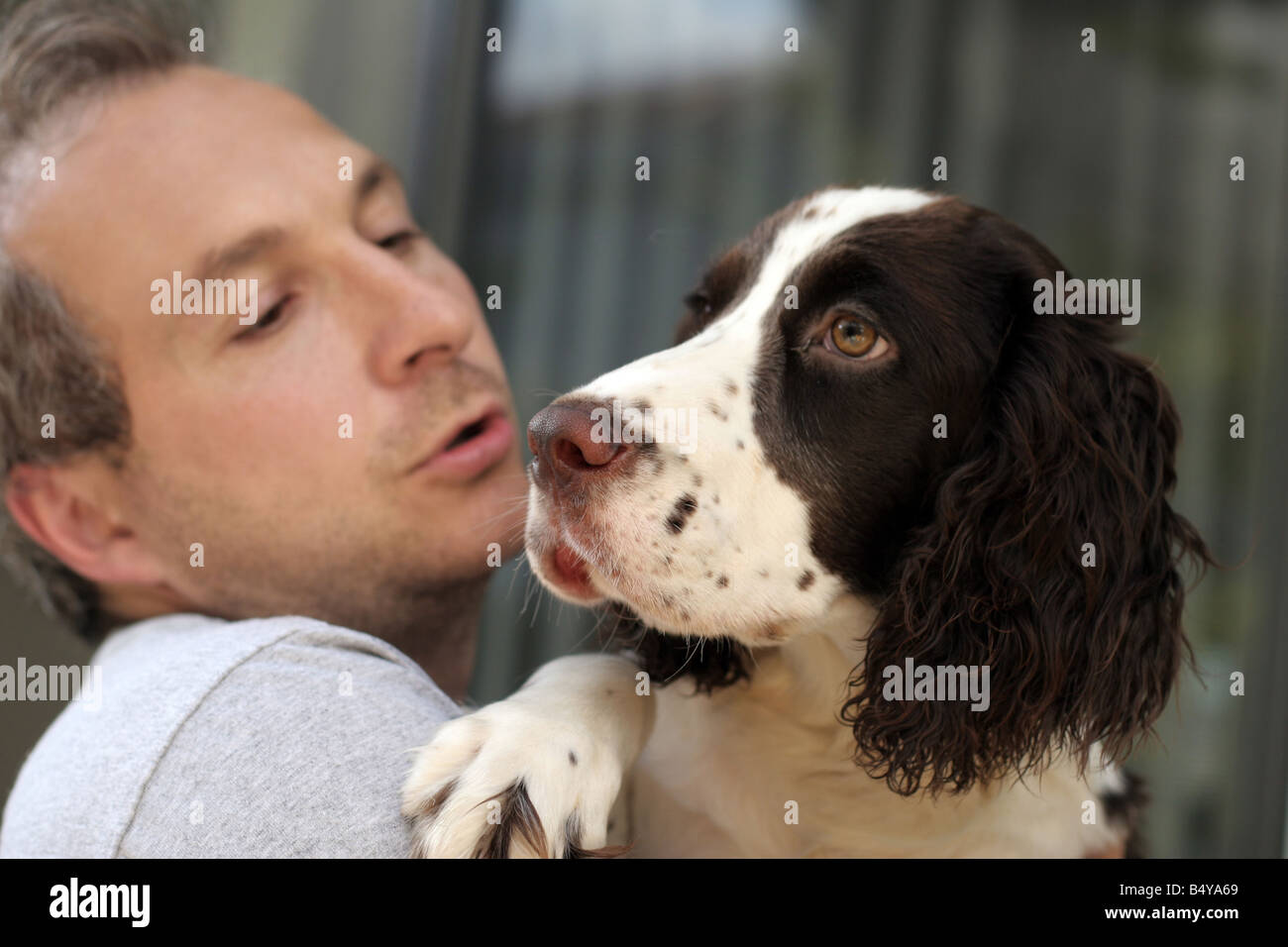 Uomo con il suo cane spaniel Foto Stock
