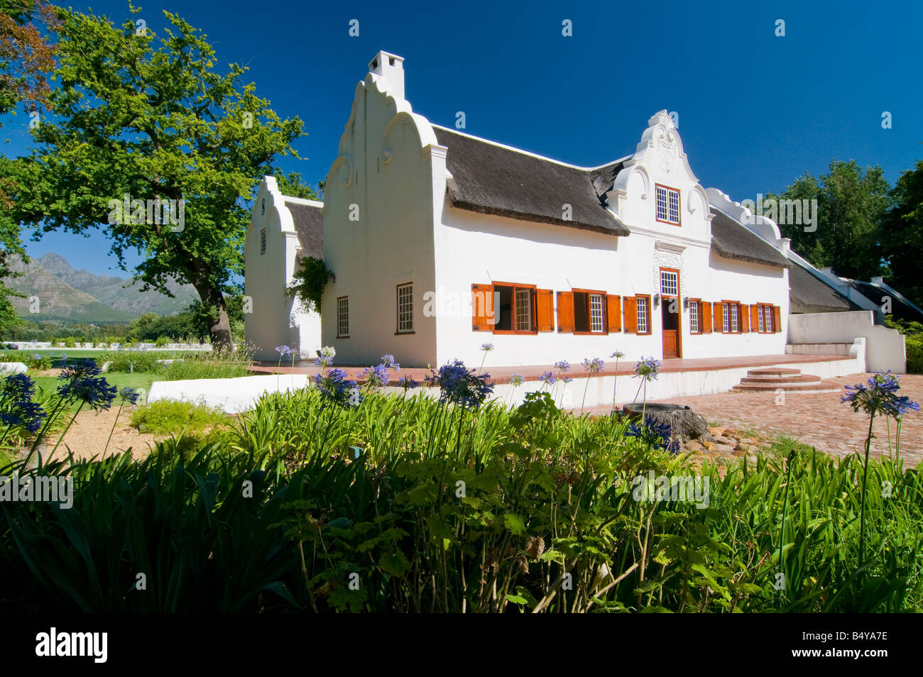 'Ine station wagon Blaauwklippen, edificio principale a Cape stile olandese, Stellenbosch, Western Cape, Sud Africa Foto Stock