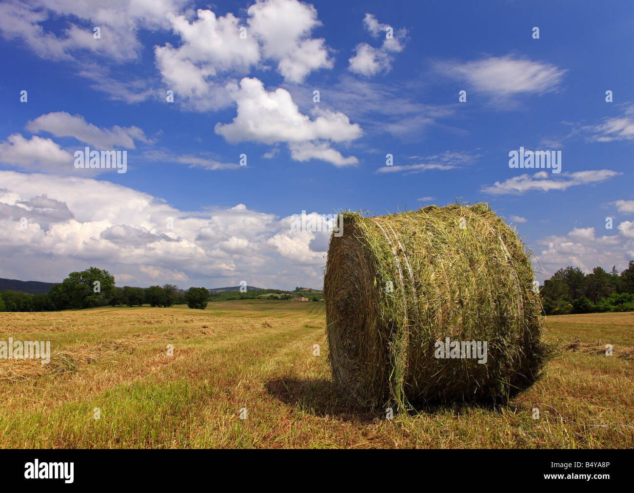 Un campo con un round di balle di paglia in campo, Toscana, Italia Foto Stock