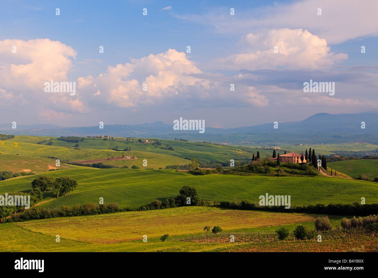 Vista sulla valle della Val d'Orcia, Toscana, Italia Foto Stock