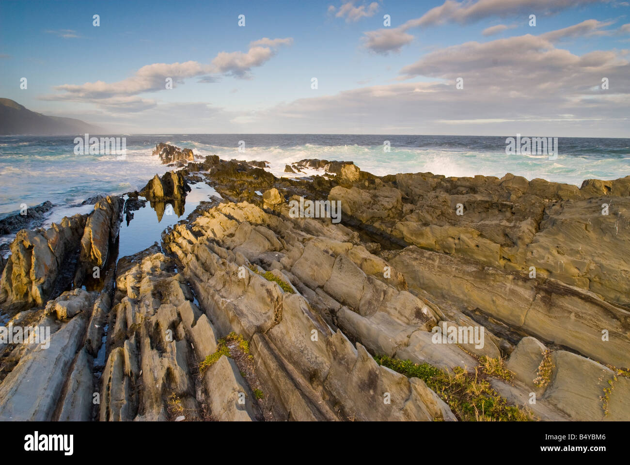 Costa, Tsitsikamma National Park, Garden Route, Western Cape, Sud Africa Foto Stock