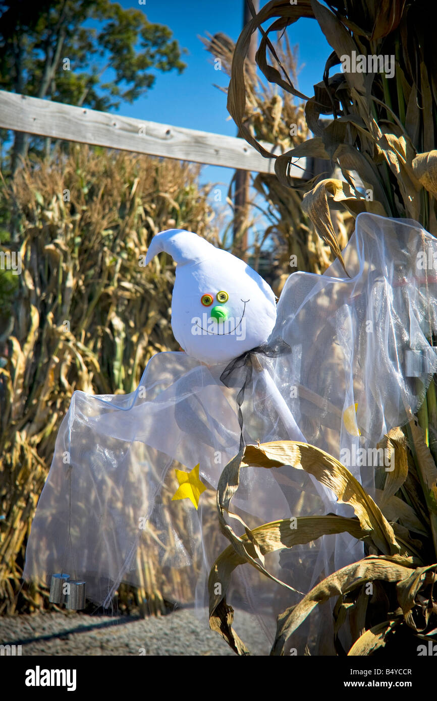 Un simpatico burattino fantasma in tra il granoturco come parte della Festa di halloween Foto Stock