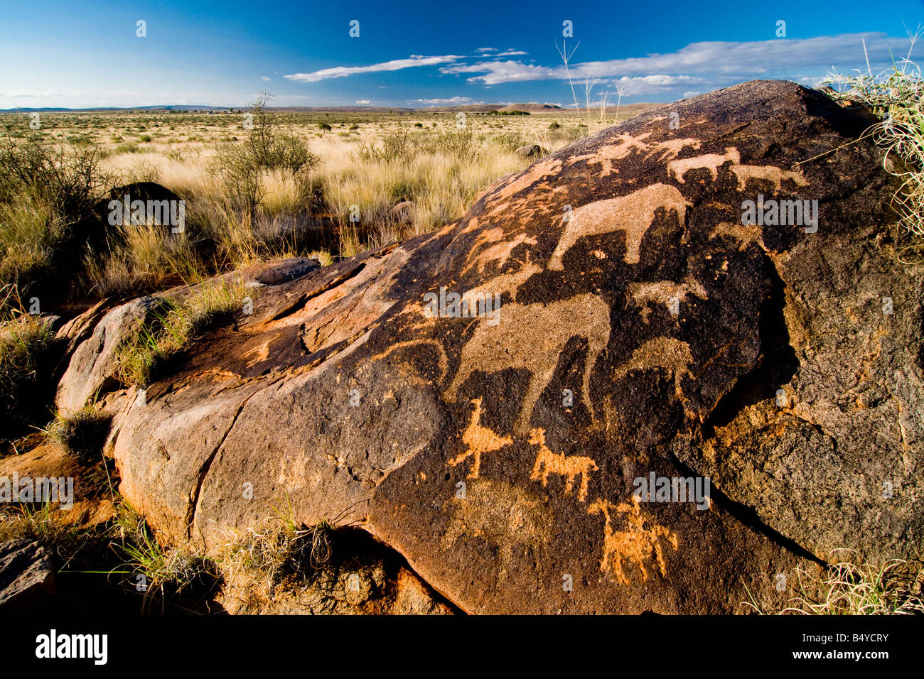 I Boscimani, petroglifi Kenhardt, Northern Cape, Sud Africa Foto Stock