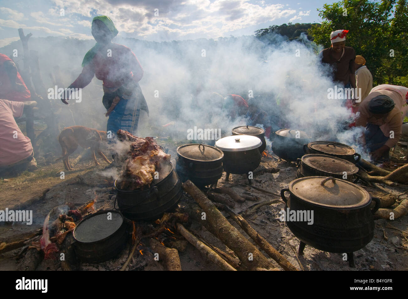 Sangoma celebrazione, Xhosa, Transkei, Capo orientale, Sud Africa Foto Stock